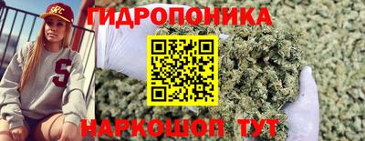 трава Гусь-Хрустальный