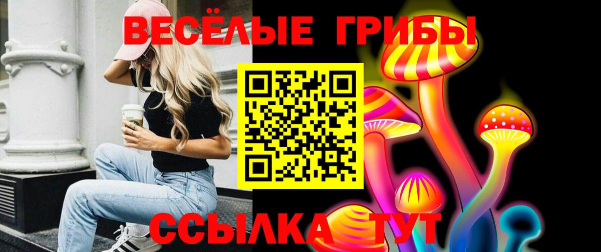Псилоцибиновые грибы мицелий  Галлюциногенные грибы Psilocybe  Вход с VPN  Минусинск 